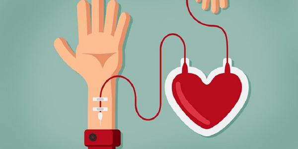 В Україні заборонили вивозити донорську кров та її компоненти