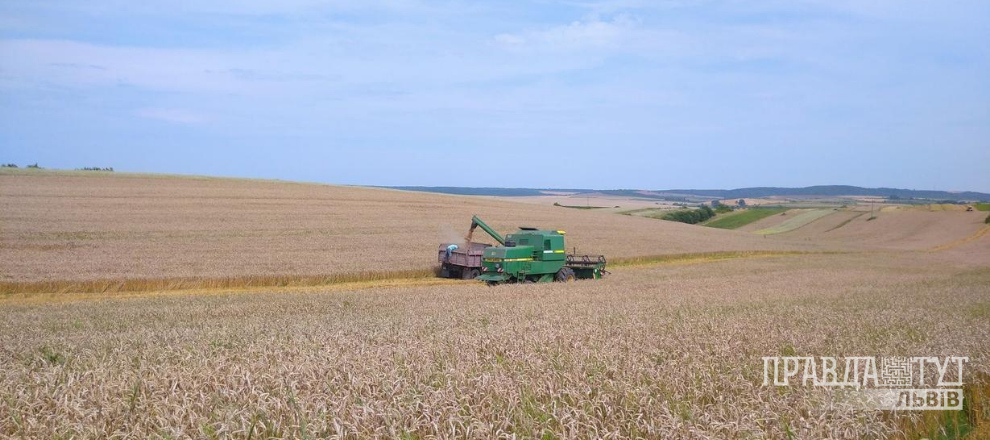 Як 19-річний хлопець зі Львівщини обробляє власні 150 гектарів землі?