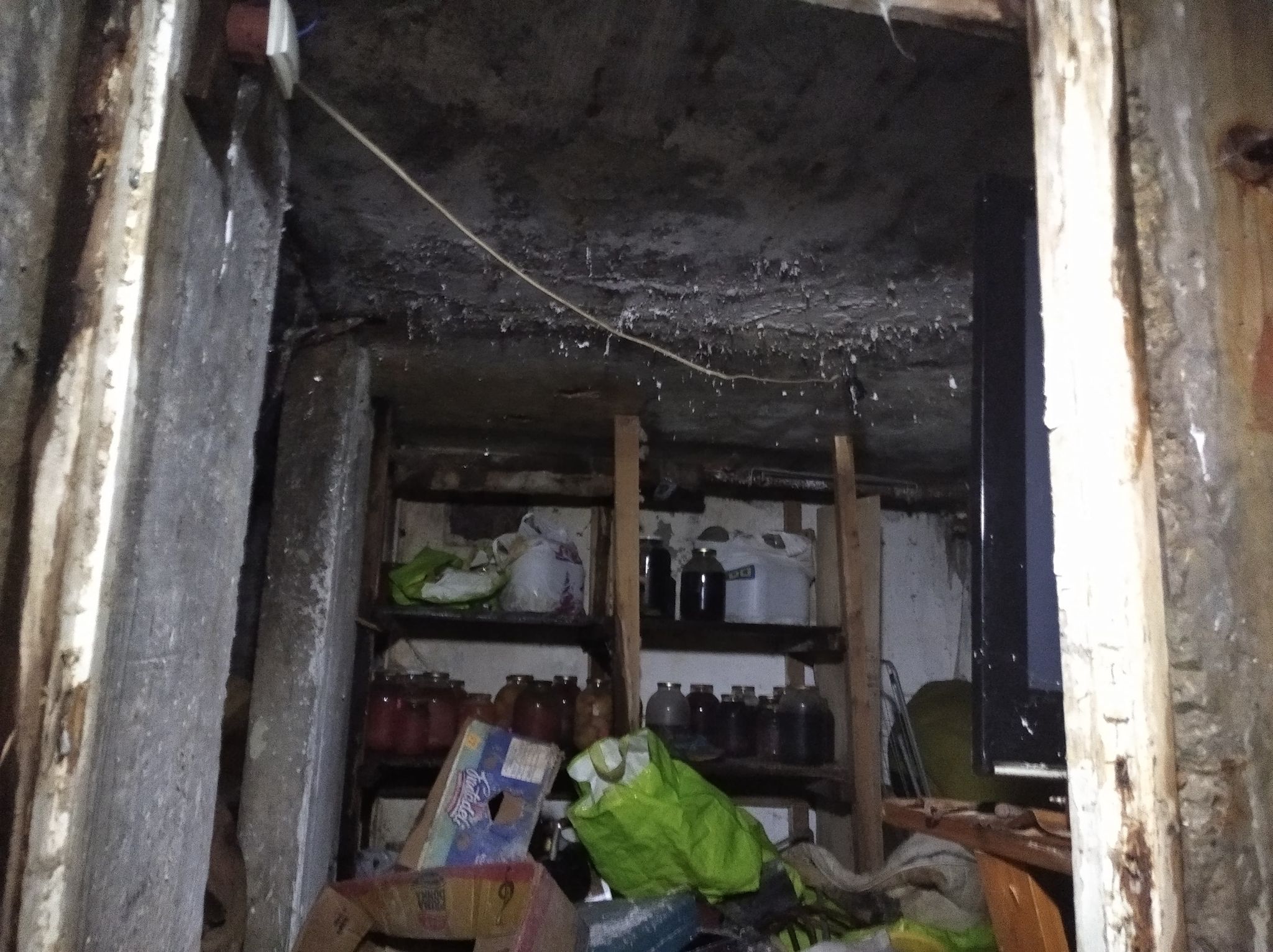 Квартира багатодітної сім'ї у Львові: грибок на стінах у подарунок