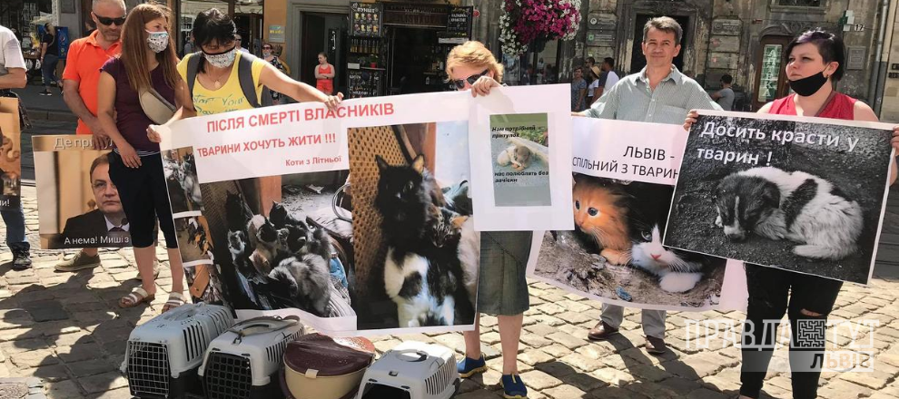 Львівські зоозахисники вийшли на акцію протесту за створення притулку для собак