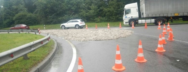 Біля Гамаліївки із вантажівки висипалися на дорогу курячі тушки