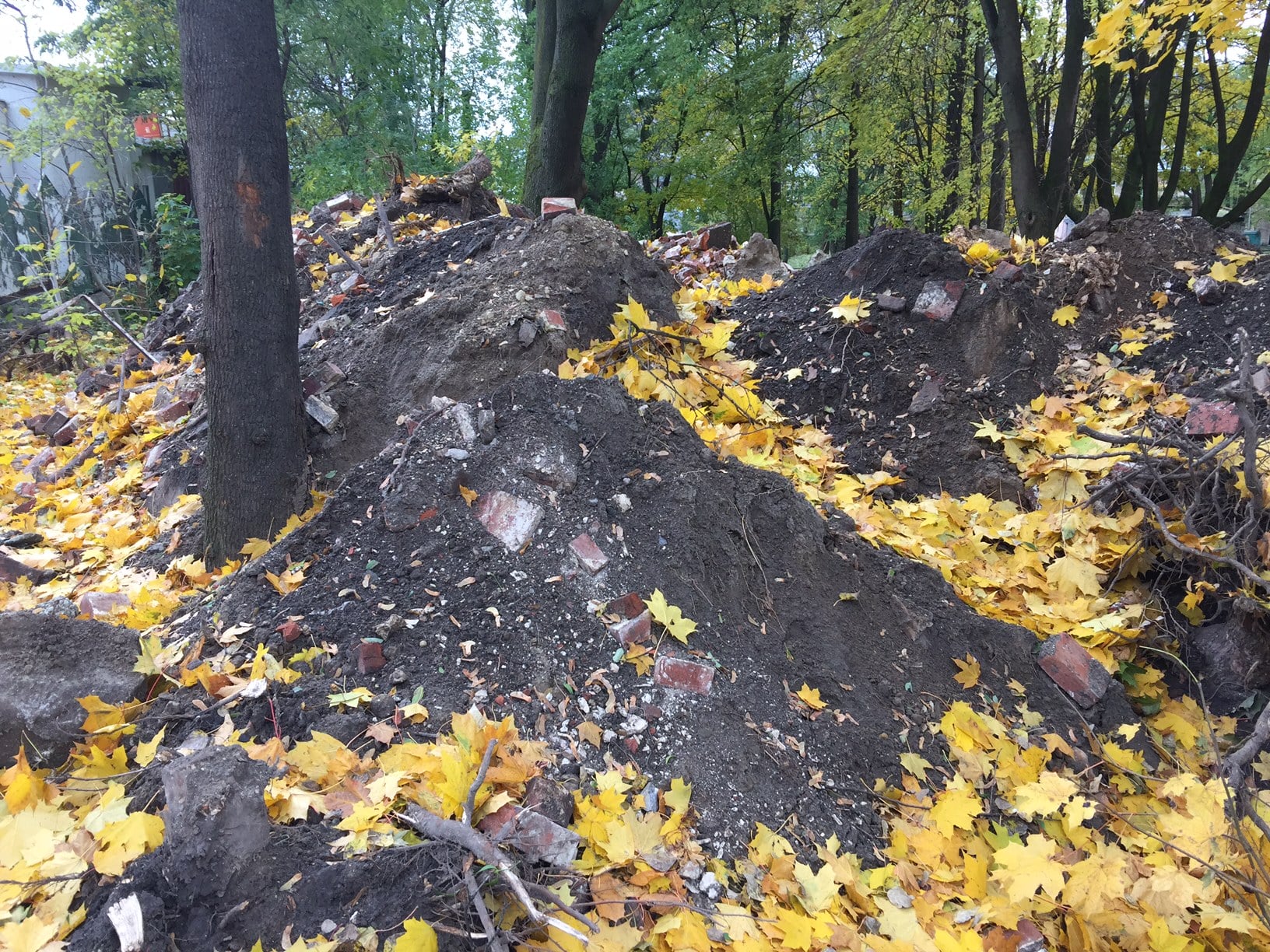 У Львові на території будівництва пологового будинку знайшли людські останки