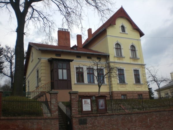 У Львові представлять унікальну світлину Лесі Українки
