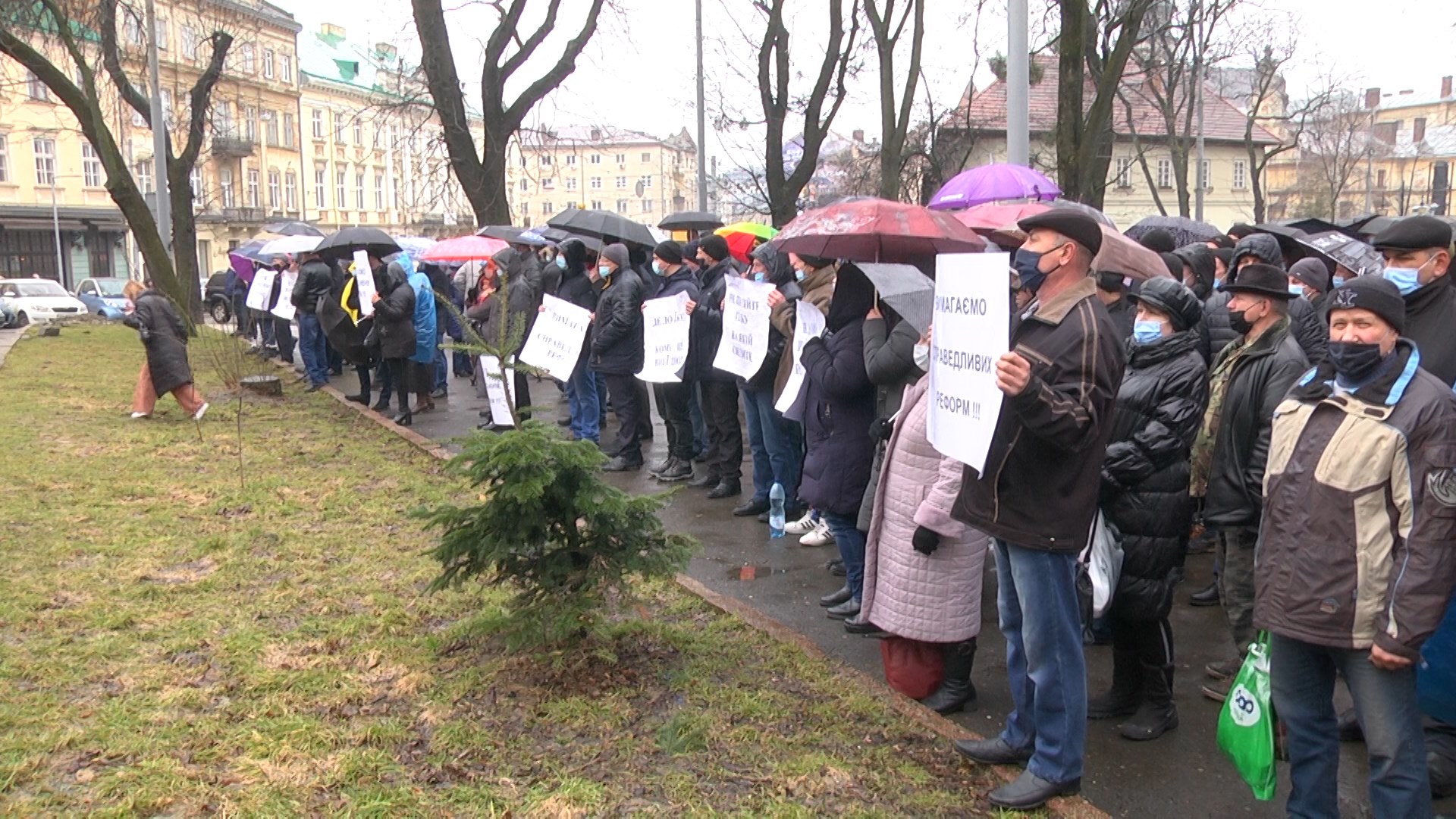 Працівники лісгоспу пікетували під час сесії Львівської облради