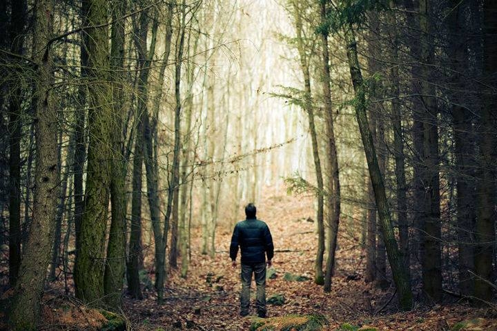 На вихідних троє львів'ян заблукали у лісі