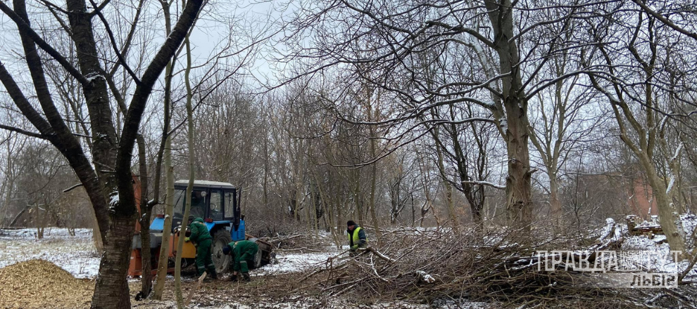 У Львові почали облагороджувати Малоголосківський парк