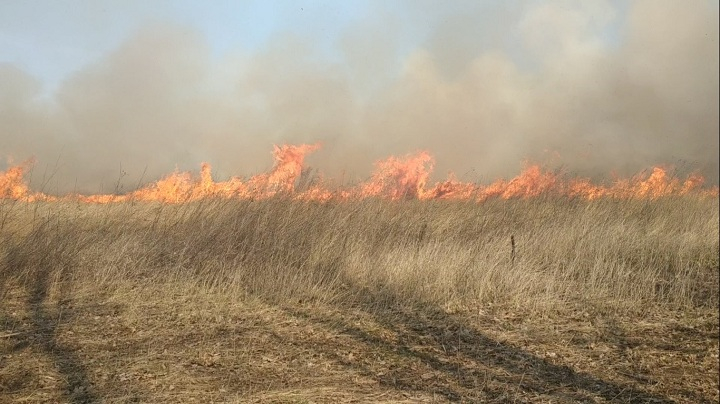 За добу на Львівщині загасили 16 пожеж внаслідок підпалу сухої трави