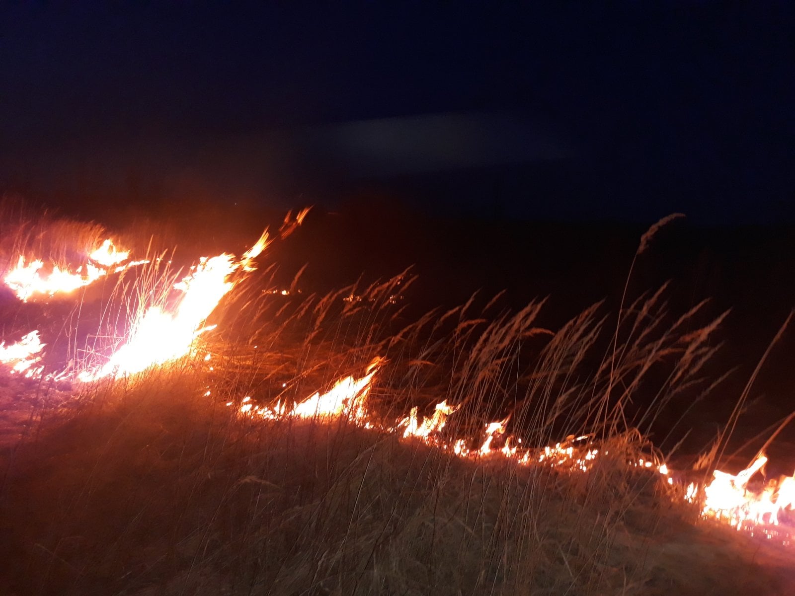 На Львівщині рятувальники ліквідували 19 пожеж сухої трави