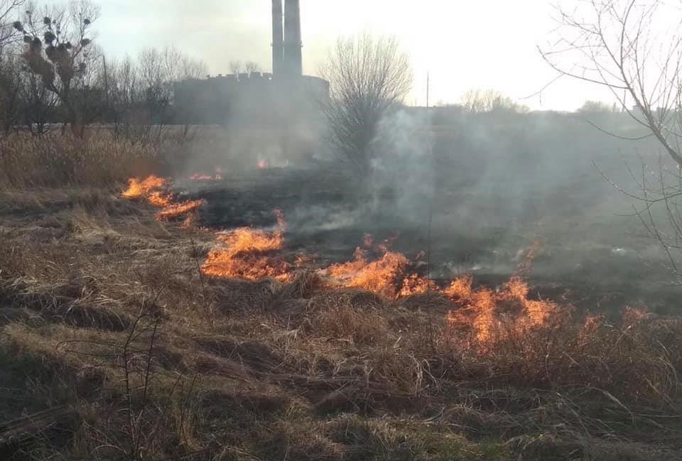 На Львівщині за минулу добу рятувальники загасили 47 пожеж сухої трави