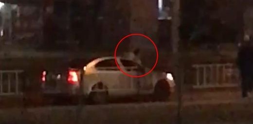 У Львові чоловік застрибнув на дах авто під час руху