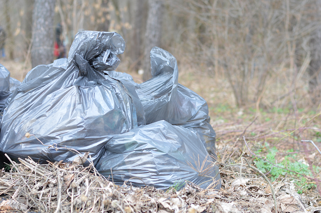 У Львові виявили стихійне сміттєзвалище поблизу Білогорщі (Відео)