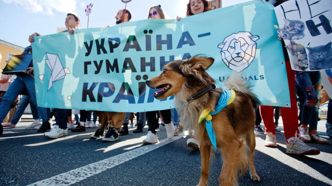 "Україна - гуманна країна": у Львові містяни вийшли на протест проти знущання над тваринами (відео)