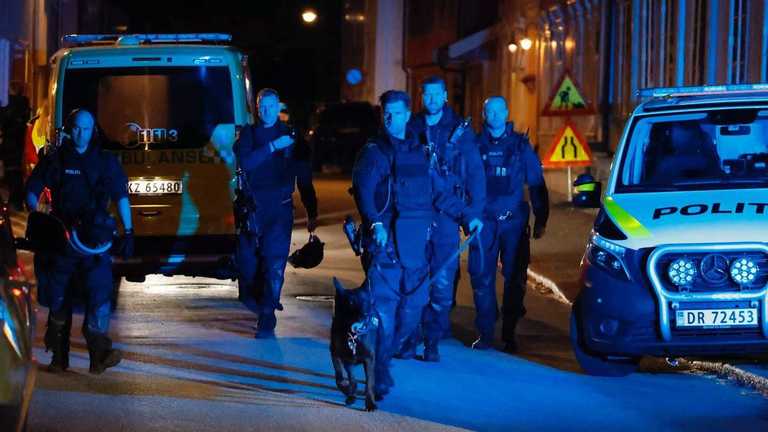 У Норвегії чоловік відкрив стрілянину з лука: загинуло 5 людей (фото)