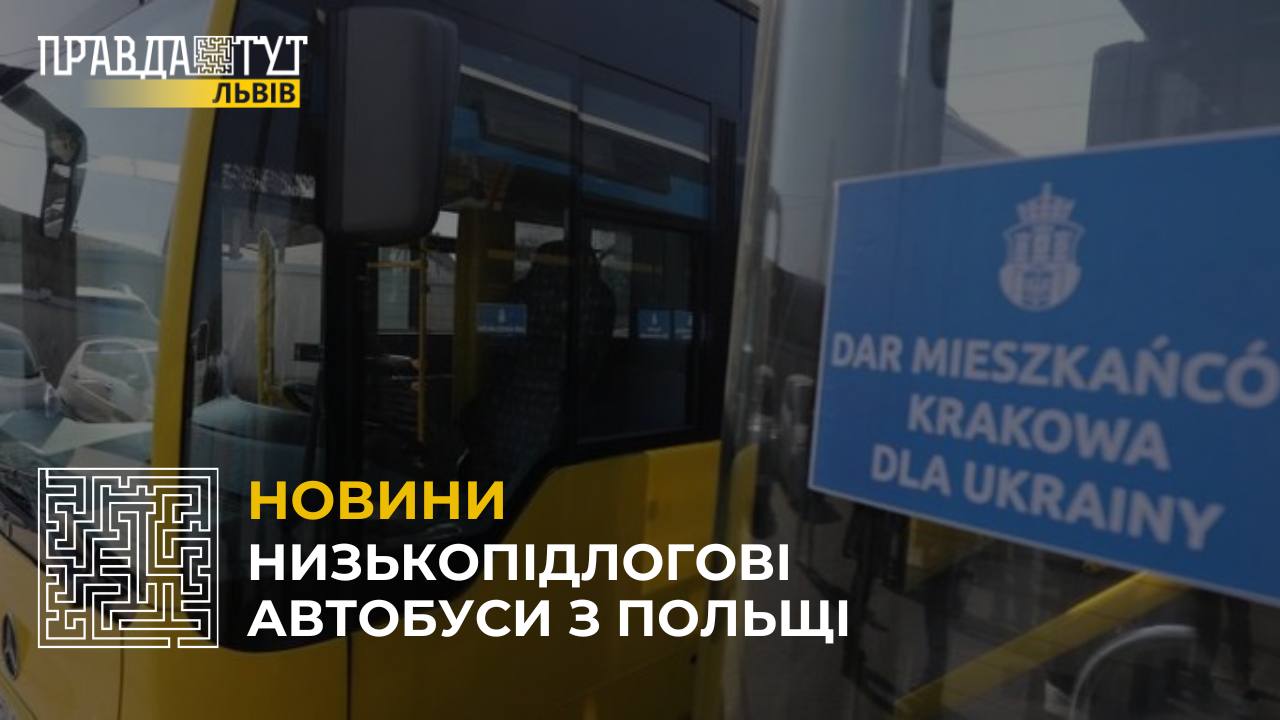 Польща передала 20 великих автобусів та гуманітарну допомогу Львову (відео)