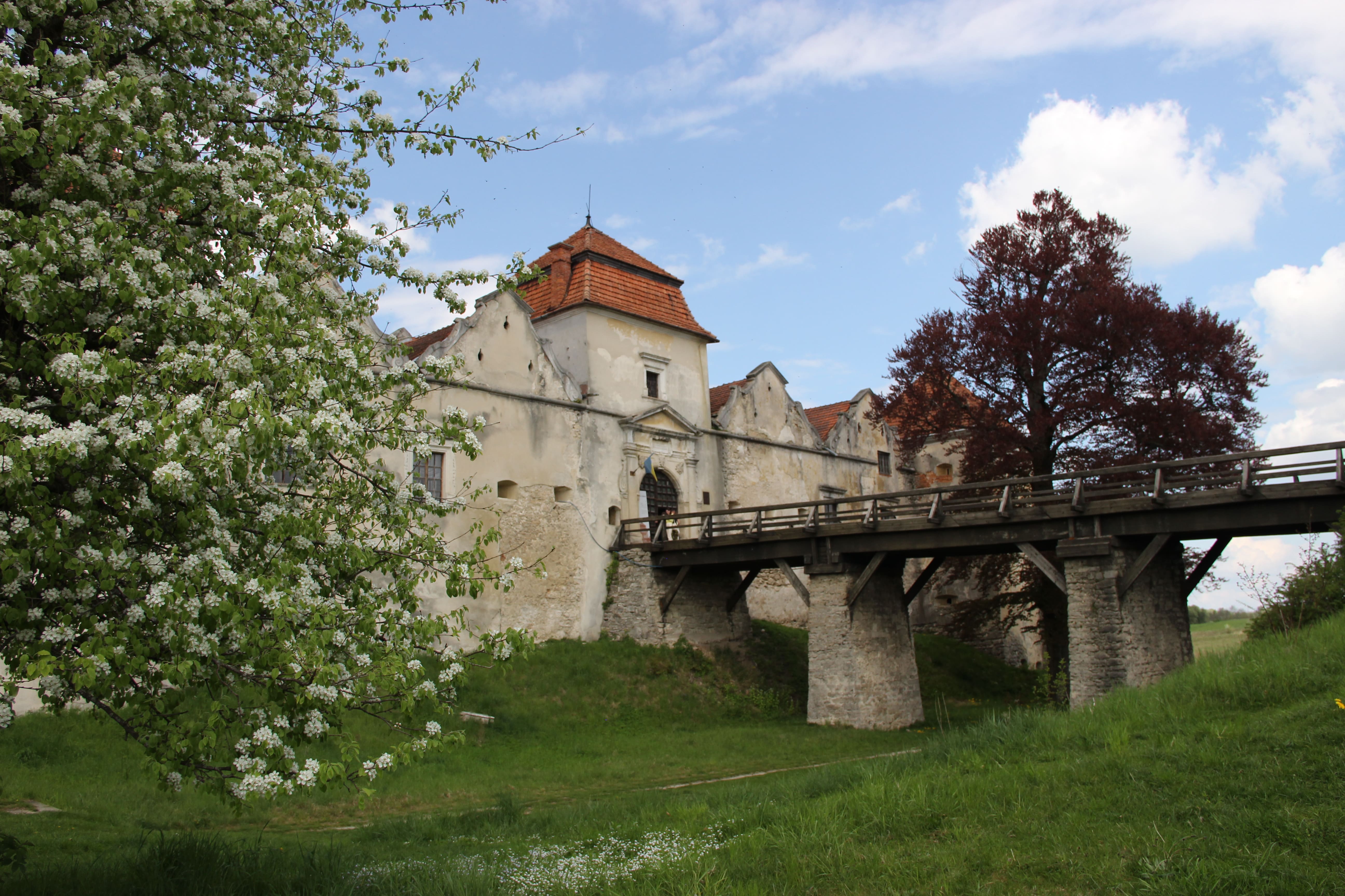 Свірзький замок: екскурс у минуле (фото)