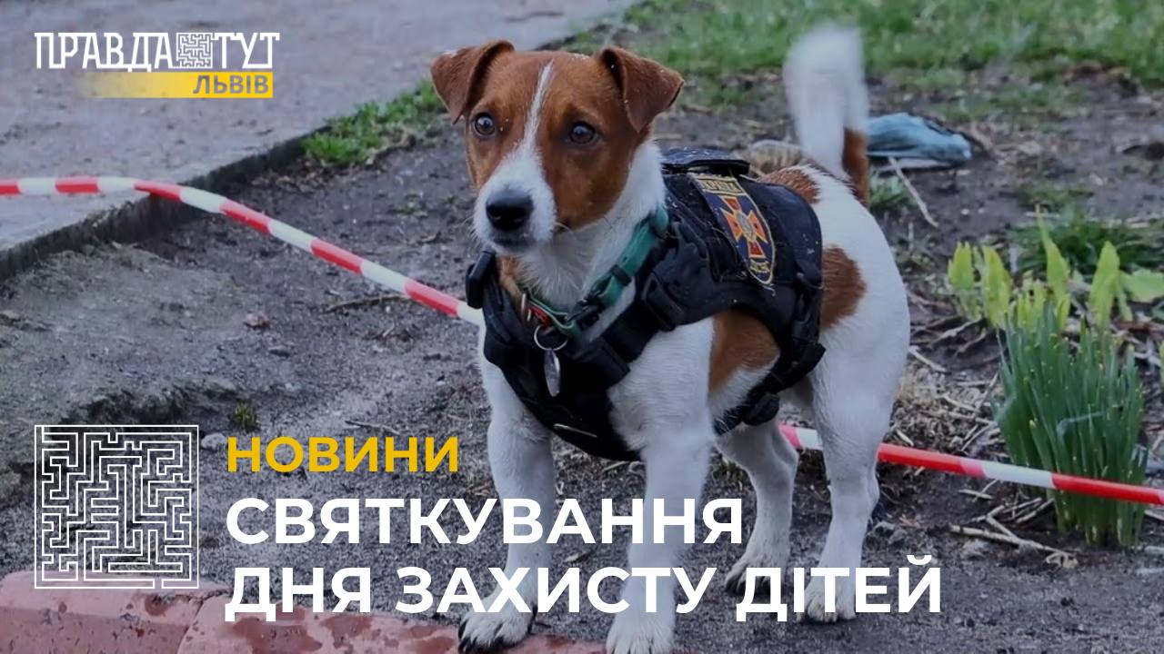 Святкування Дня захисту дітей у Львові: програма заходів (відео)