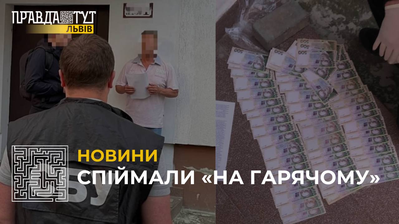 На Львівщині поліцейські спіймали на хабарі директора дослідницького господарства (відео)