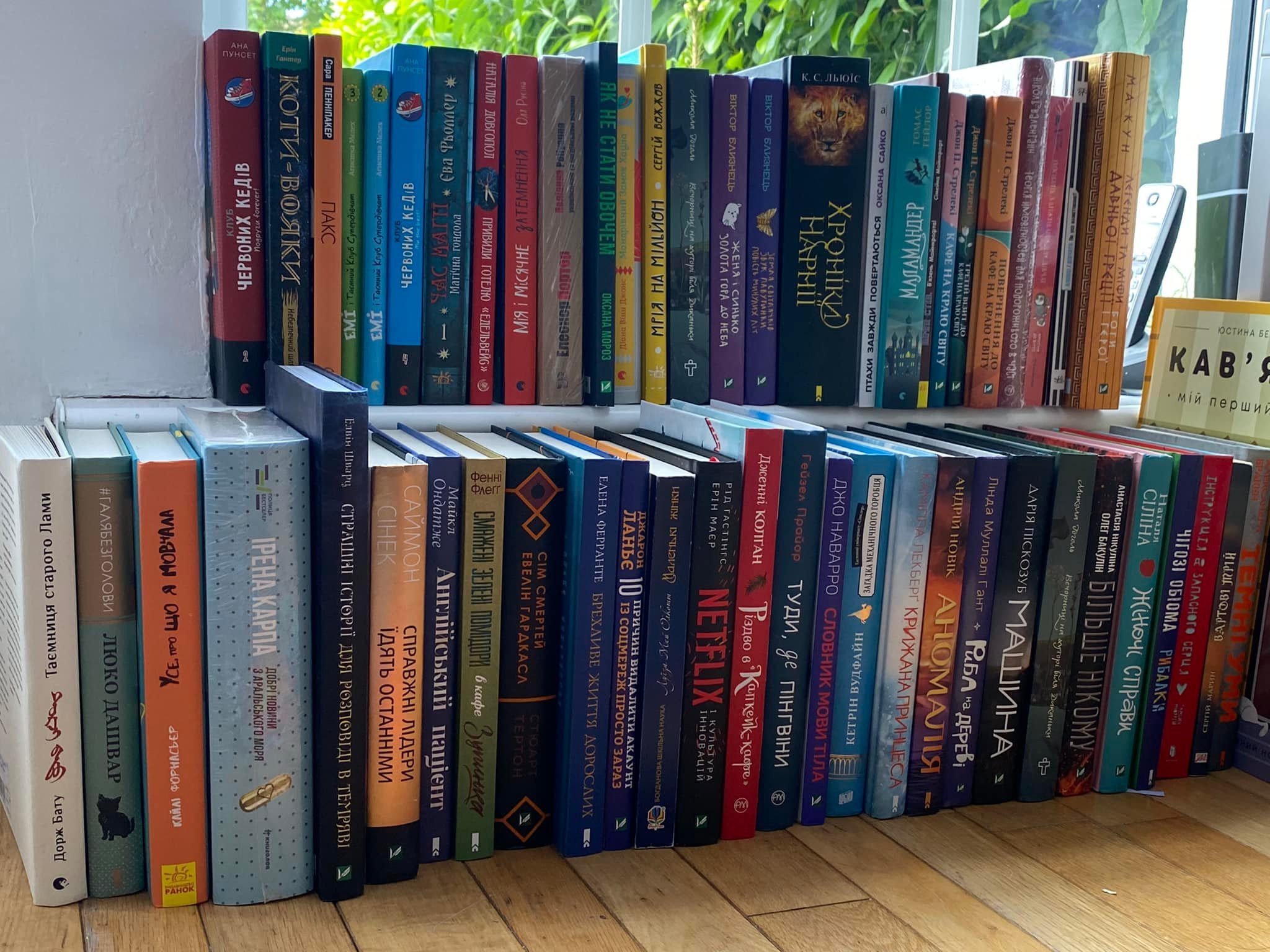 Бібліотека в Ірландії отримала україномовні книжки