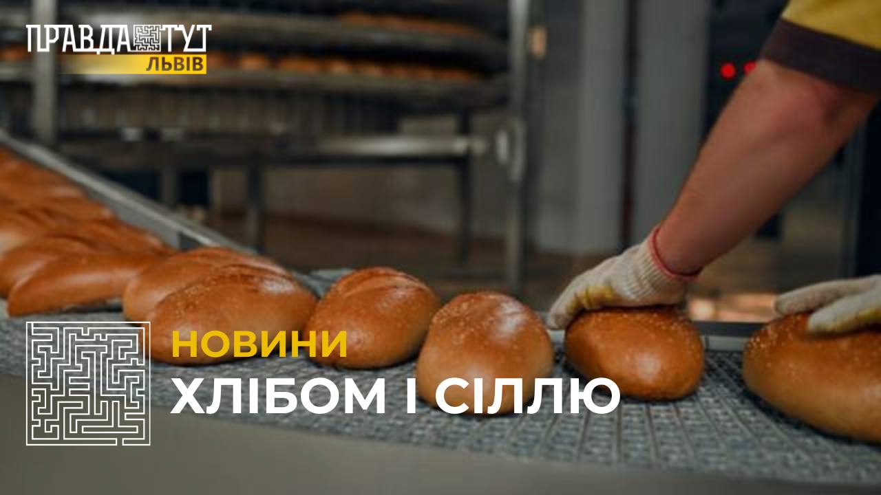 Біля Львова збудують великий хлібзавод (відео)