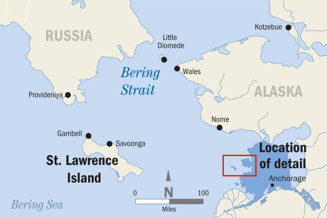 Двоє росіян на човні втекли від мобілізації на Аляску