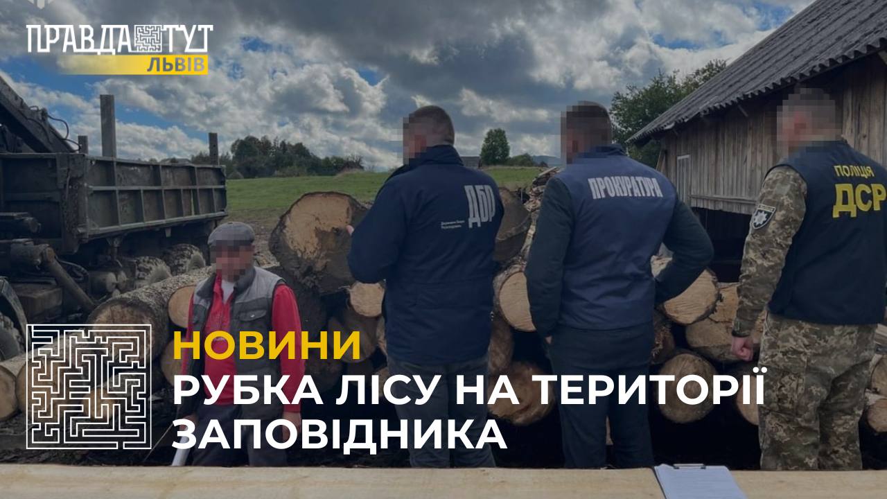 На Львівщині викрили організовану злочинну групу, яка рубала ліс на території заповідника (відео)