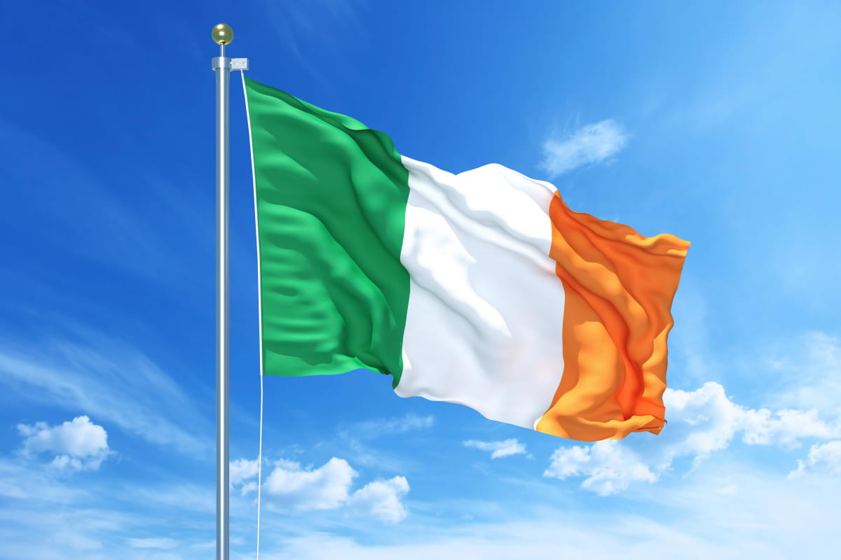 Ірландія може допомогти у створенні спецтрибуналу для рф - голова МЗС