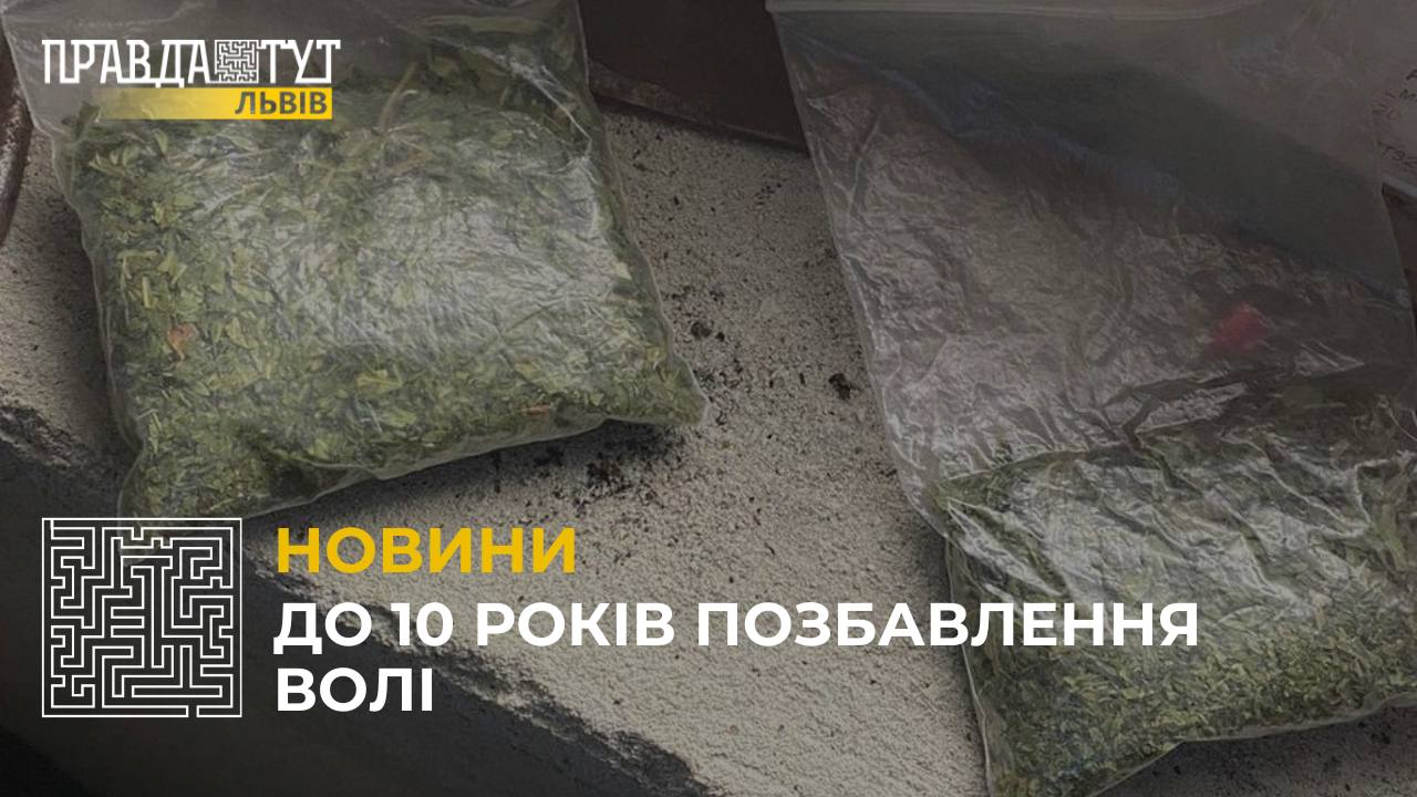 На Стрийщині затримали місцевого мешканця, який продавав наркозалежним особам «канабіс»