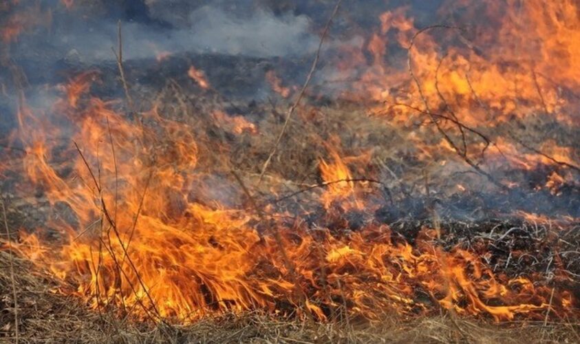 За 2023 рік у Львівській громаді зафіксували 12 пожеж сухостою