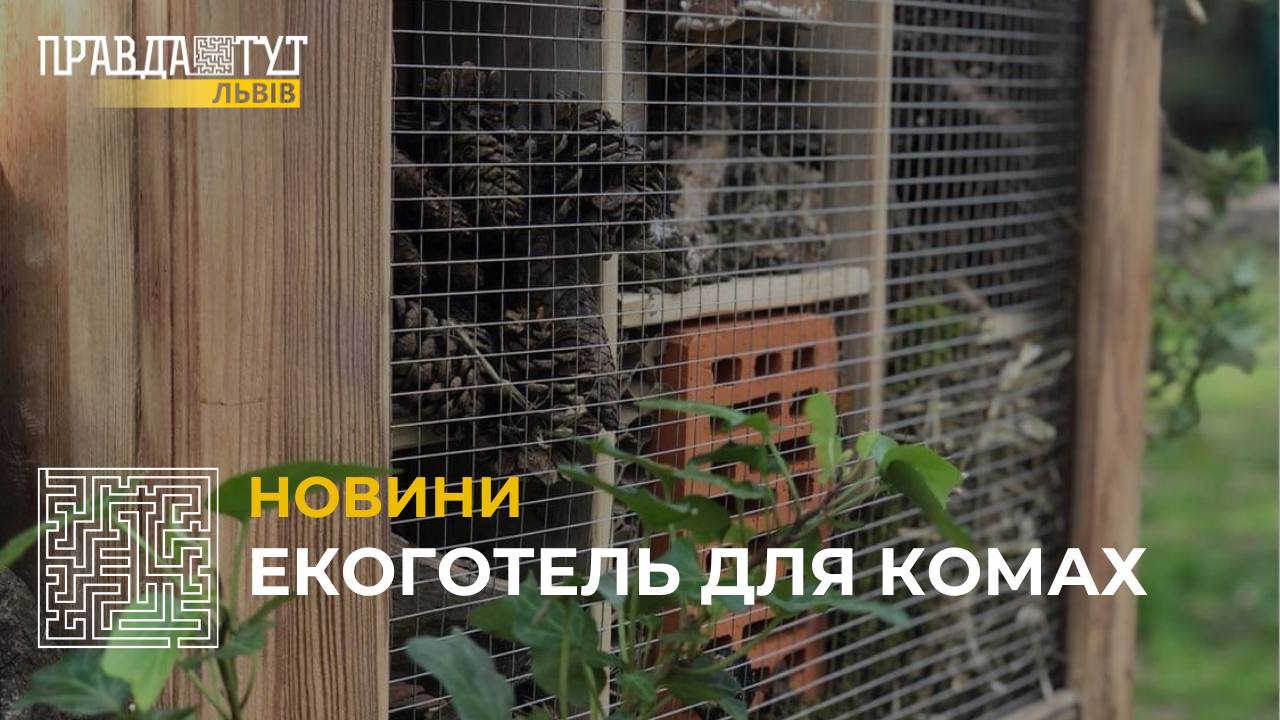 У Стрийському парку встановили перші екоготелі для комах