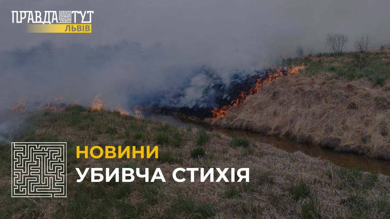 Стихія, що зносить усе на своєму шляху: вогонь знищив 2 000 квадратних метрів землі на Золочівщині