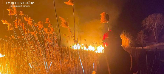 На Львівщини вчора гасили 9 пожеж сухої трави