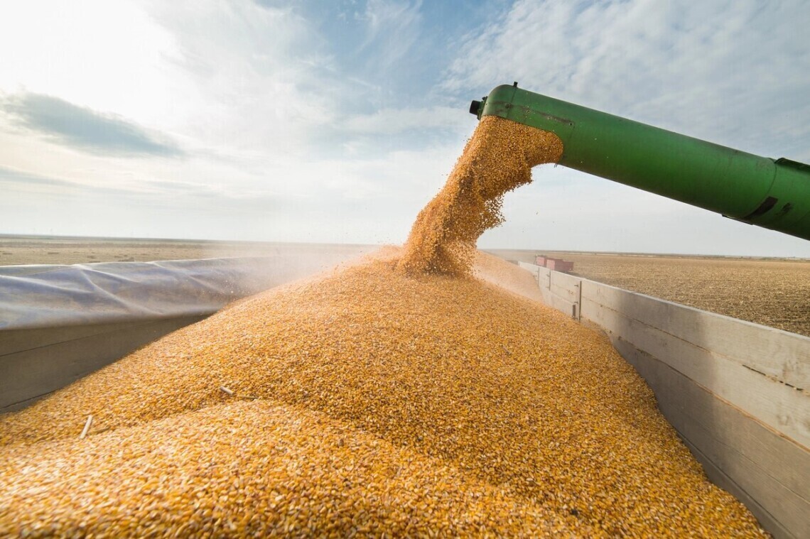 Ми продовжуємо шукати, як доставити українське зерно у світ - посол США