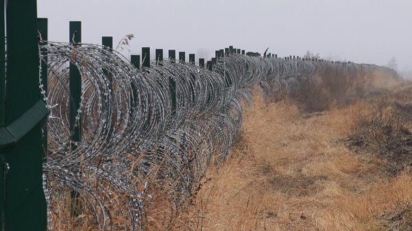 ЄС планує закриття кордонів з білоруссю, в разі "серйозних інцидентів" з ПВК "Вагнер"