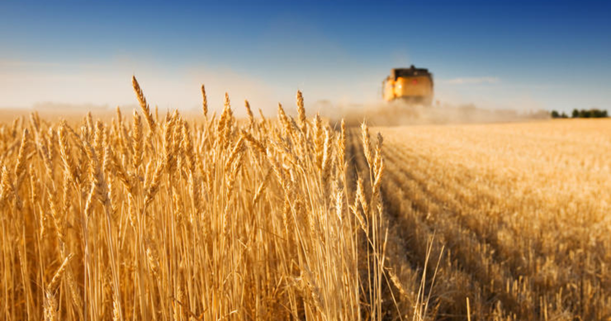 США розробляють альтернативний план експорту зерна з України