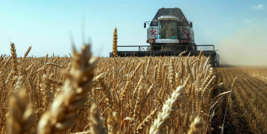 Заборона Словаччини на імпорт українського зерна діятиме до кінця року
