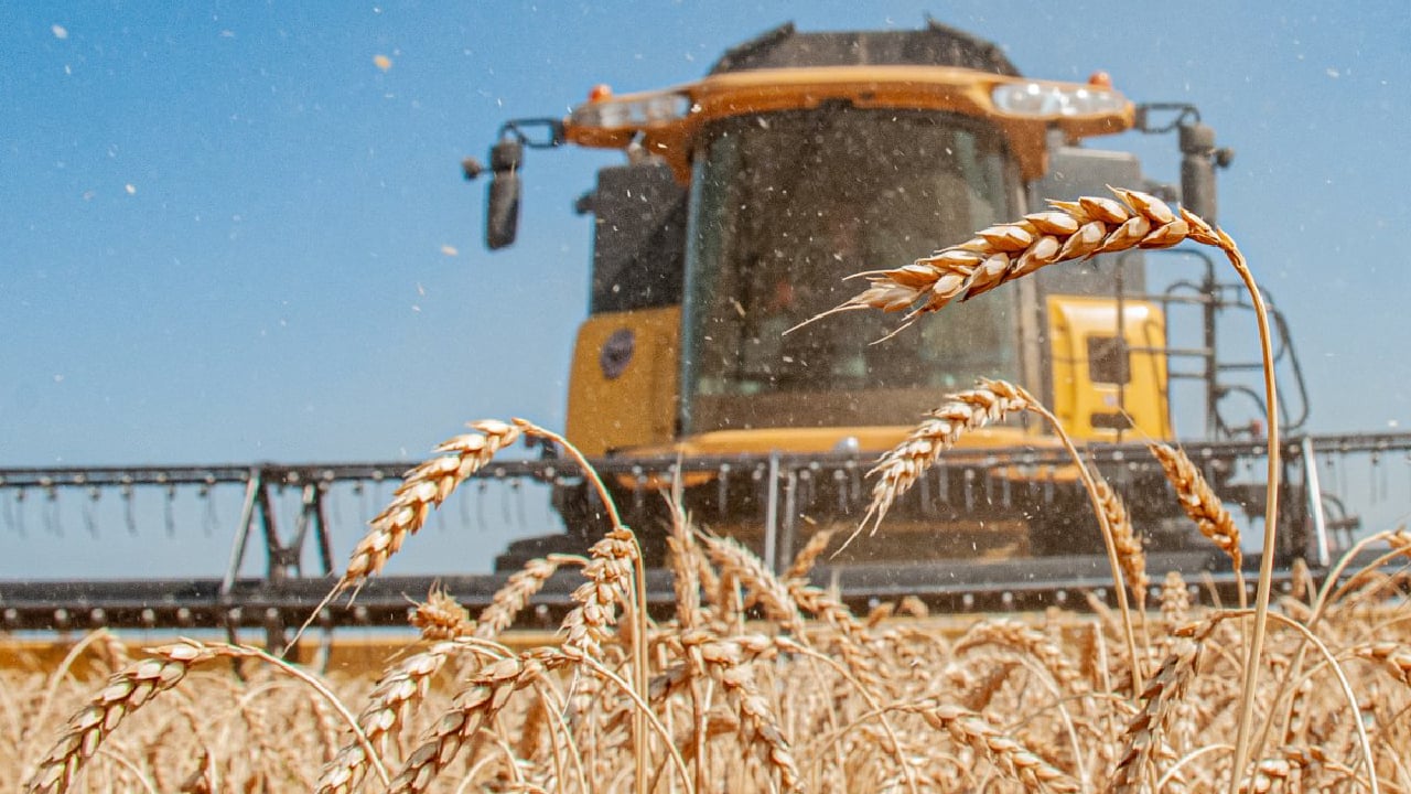 ЄС закликає до конструктиву в питанні зерна з України