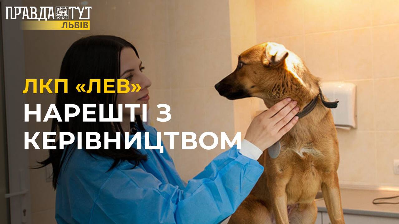 ГРАНДІОЗНІ зміни у головному притулку для тварин у Львові: як оновлюється підприємство?