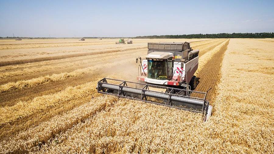 В Україні підвищили прогноз збору зерна через високу врожайність