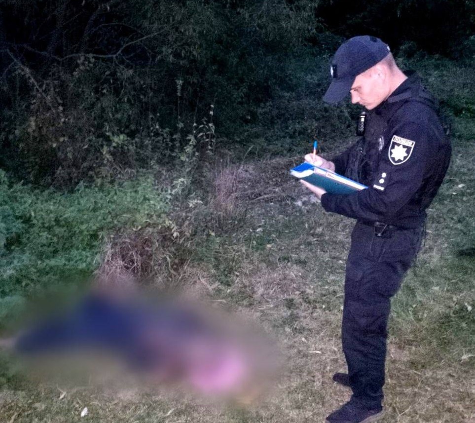 Смертельні укуси комах: на Київщині чоловік загинув через атаку шершнів