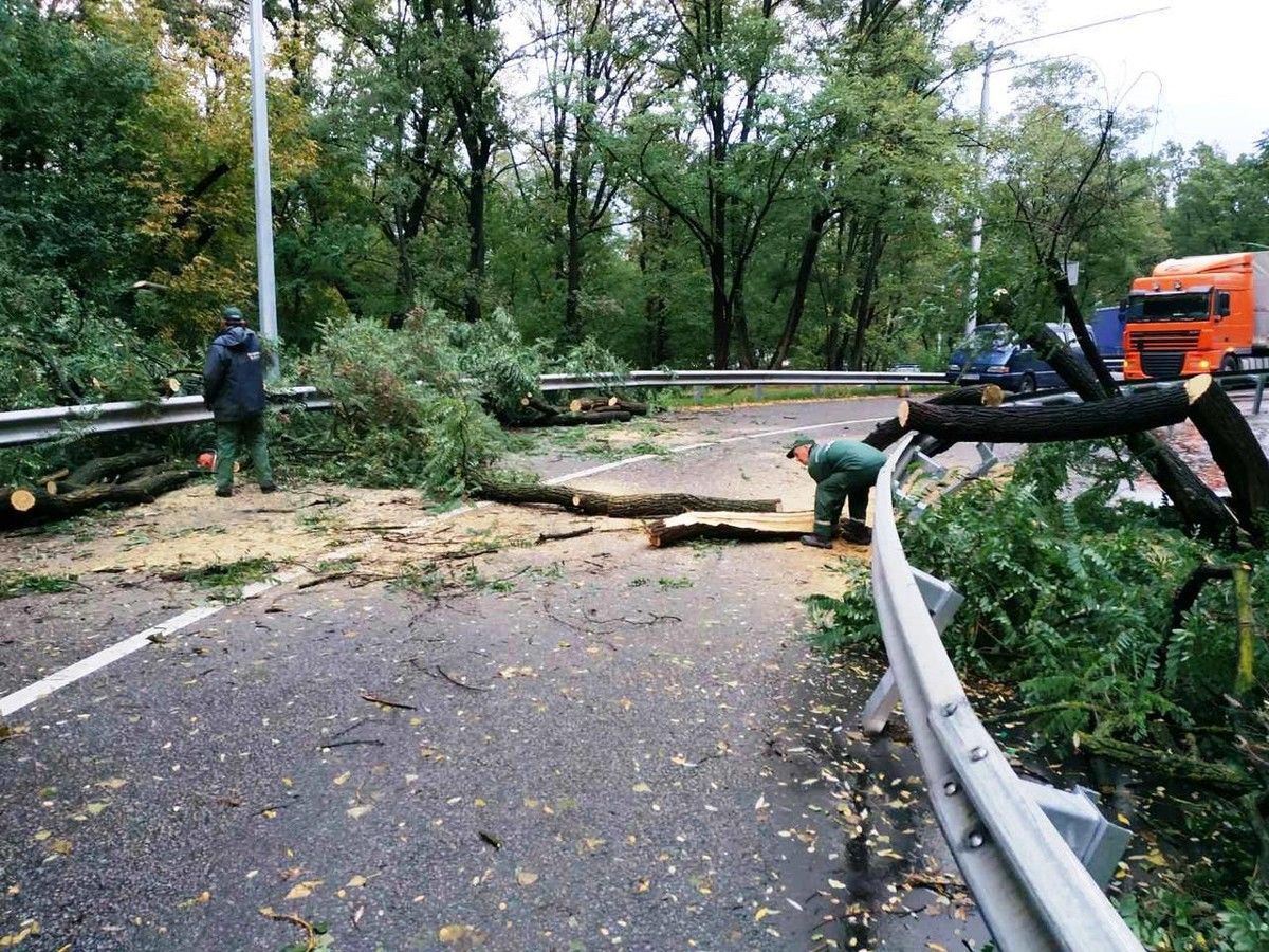 У Києві негода принесла смерті: є загиблі і травмовані люди та повалені дерева
