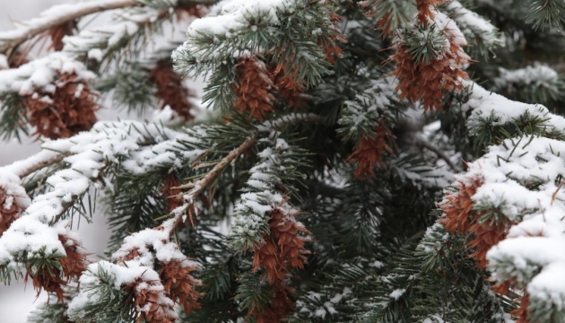 В Україні завтра сніг та дощ, вдень - до 5° морозу