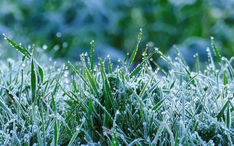 В Україні прогнозують до +4°, подекуди сніг і дощ