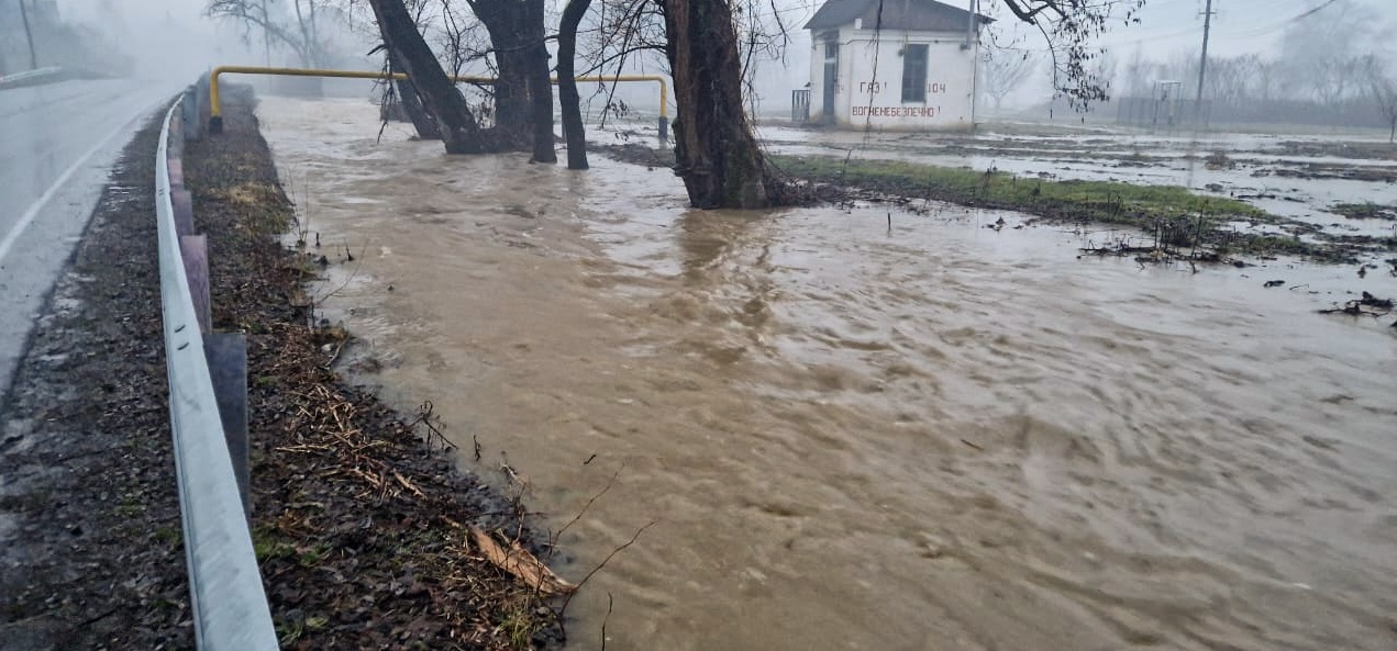 На Закарпатті через повінь під воду пішли 330 гектарів полів та кілька доріг