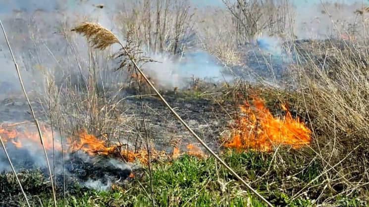 Росіяни почали використовувати на Чернігівщині безпілотники із запалювальною сумішшю