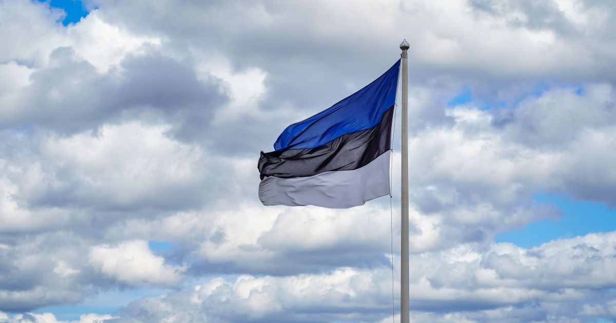 Допомога Україні: Естонія оголосила про новий військовий пакет