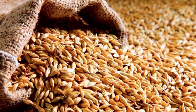 Україна вже експортувала понад 41 мільйон тонн зернових та зернобобових