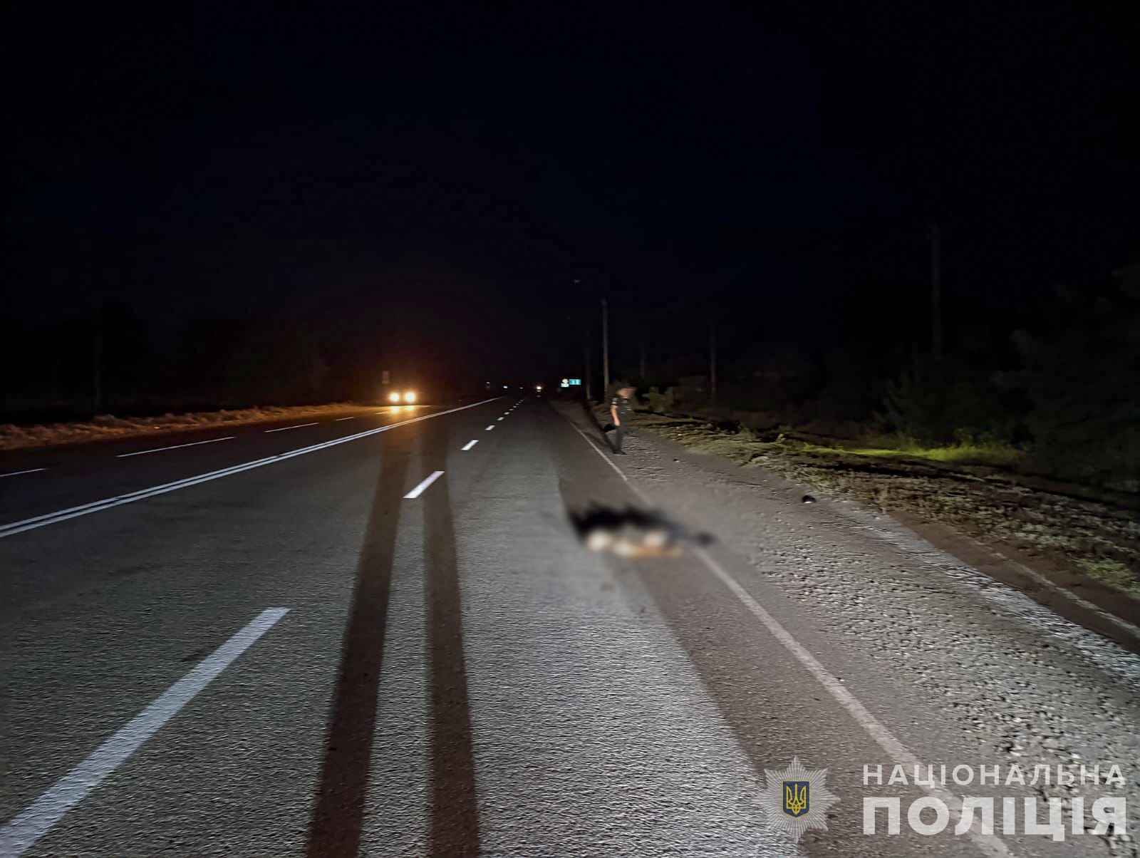 На Запоріжжі водій збив військовослужбовця та залишив його помирати на узбіччі