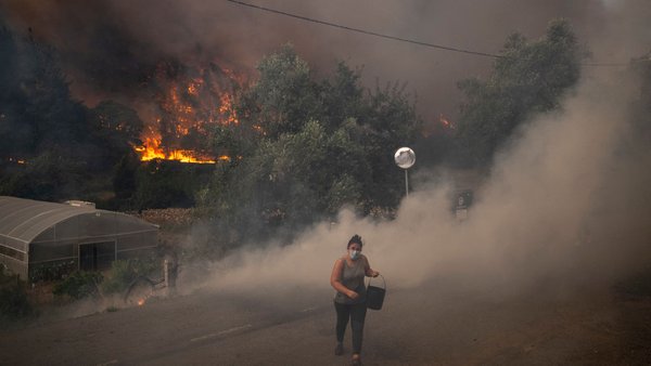 У Перу через лісові пожежі загинули 15 людей