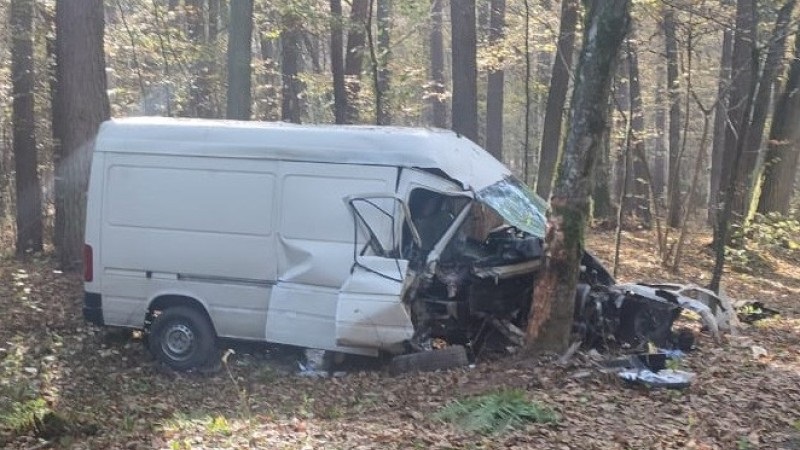 На Волині внаслідок ДТП загинуло немовля