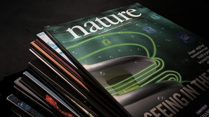 Журнал Nature обрав найкращі наукові фотографії жовтня